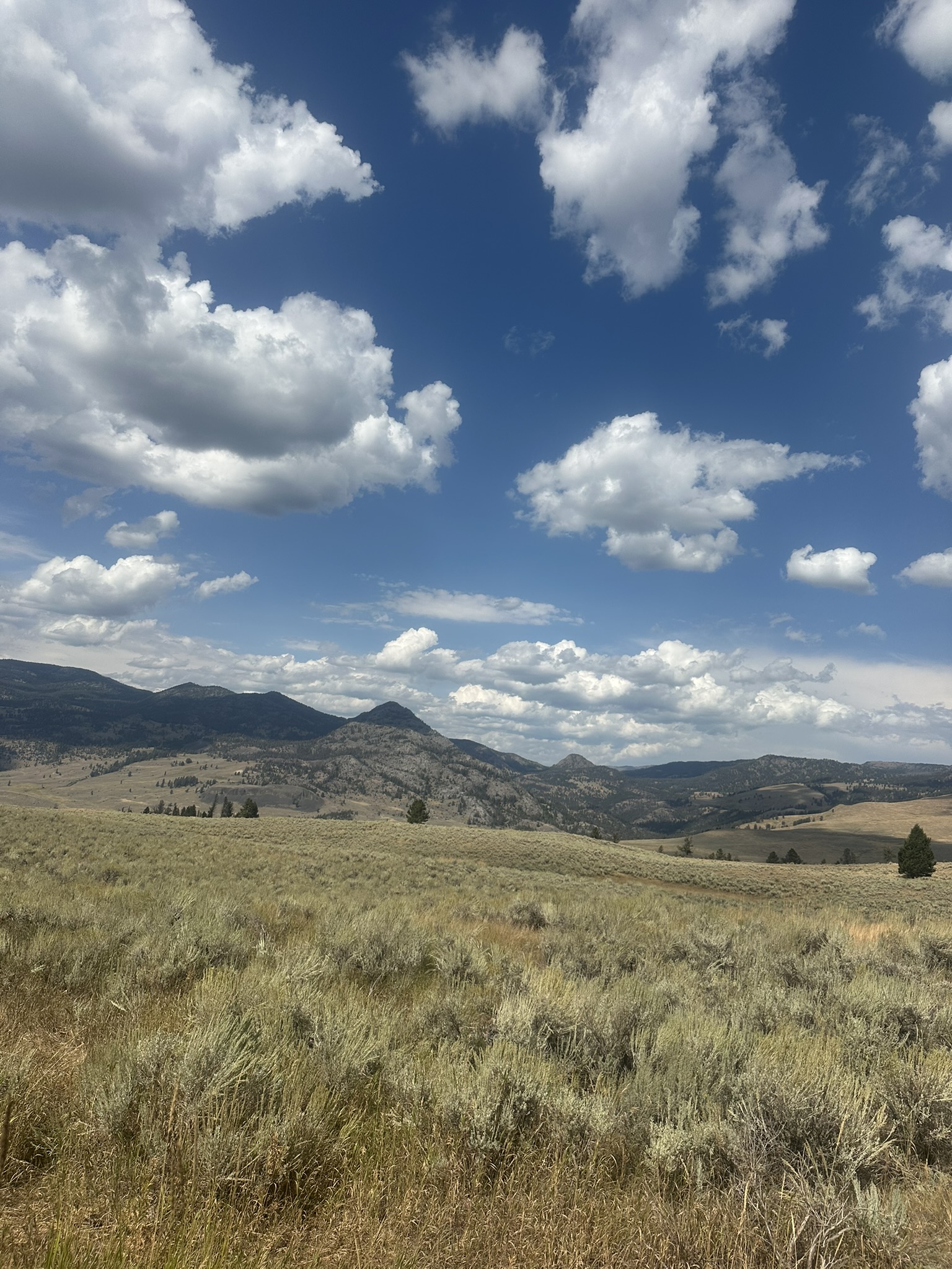 Yellowstone And Grand Teton National Parks - Image 761